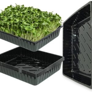 BeGrit Plant Tray, 5 Pieces, Plant Bowls, Propagation Plate, Plant Bowl, 39 cm x 29 cm x 6.5 cm, Propagation Trays, Without Holes, Sturdy Flat Bowls for Plants, Growing, Garden, Hydrop